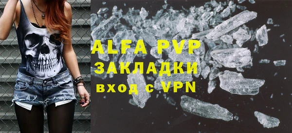 PSILOCYBIN Белая Холуница